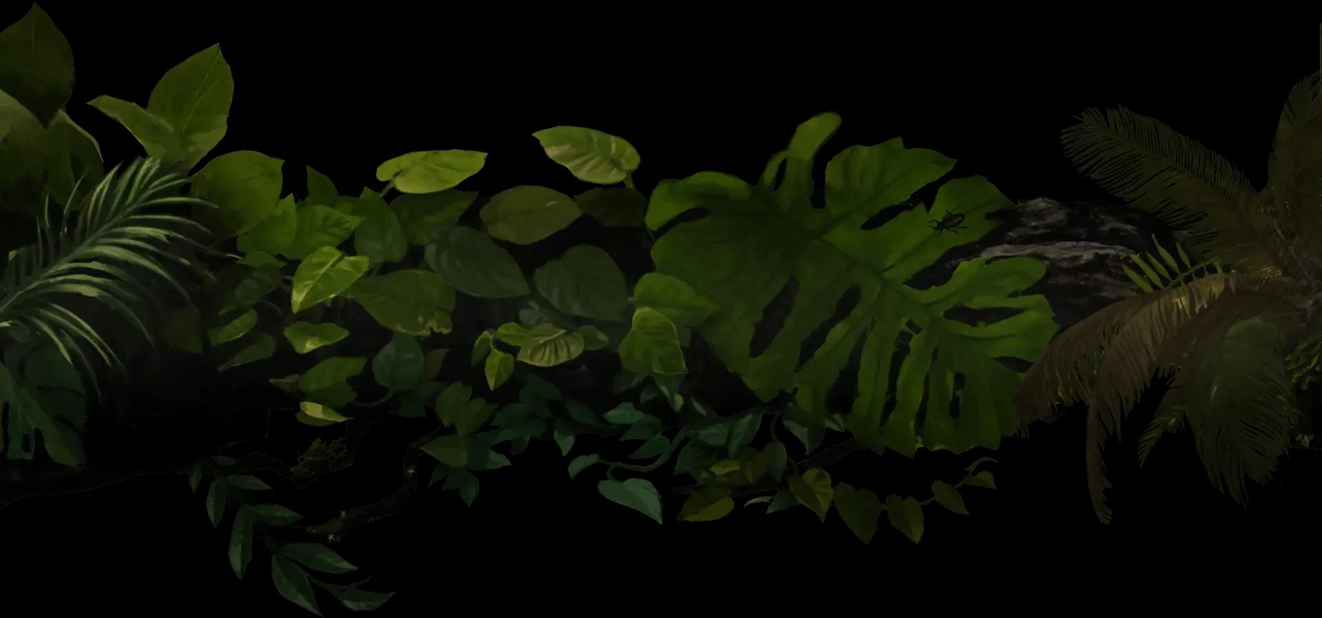 Verdant jungle foliage teems with life, from broad leaves to delicate fronds, highlighted by a cluster of vibrant orange flowers.